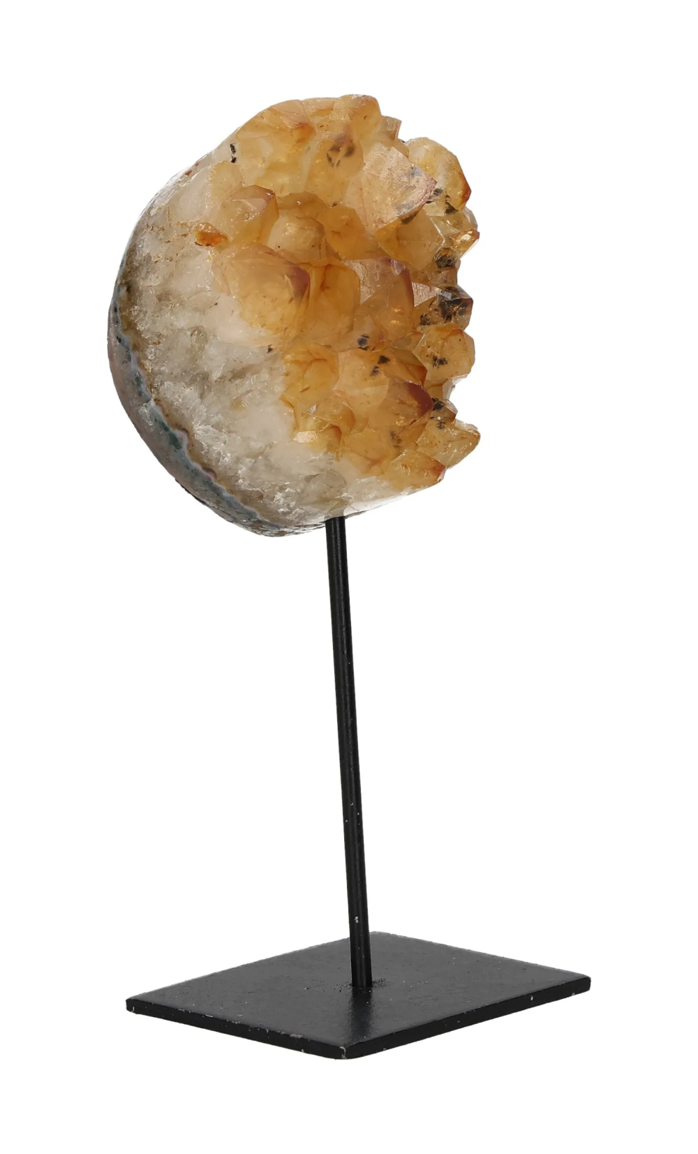 orbitvu|type:image2d