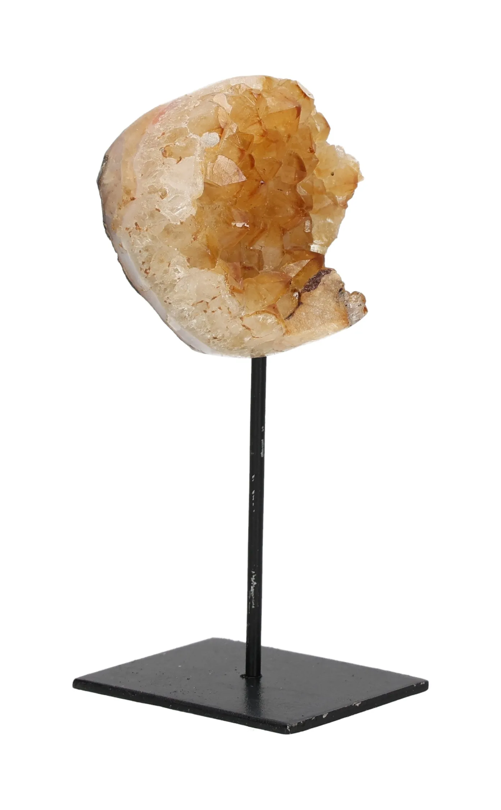 orbitvu|type:image2d