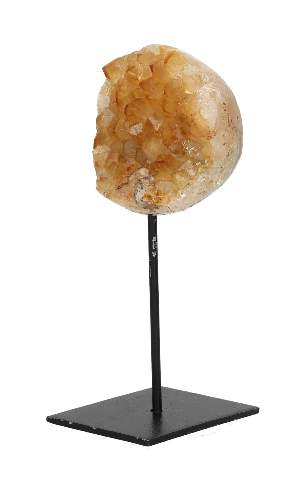 orbitvu|type:image2d