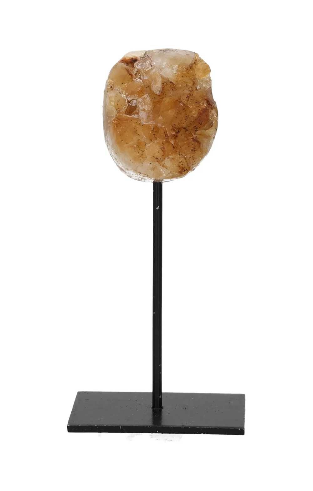 orbitvu|type:image2d