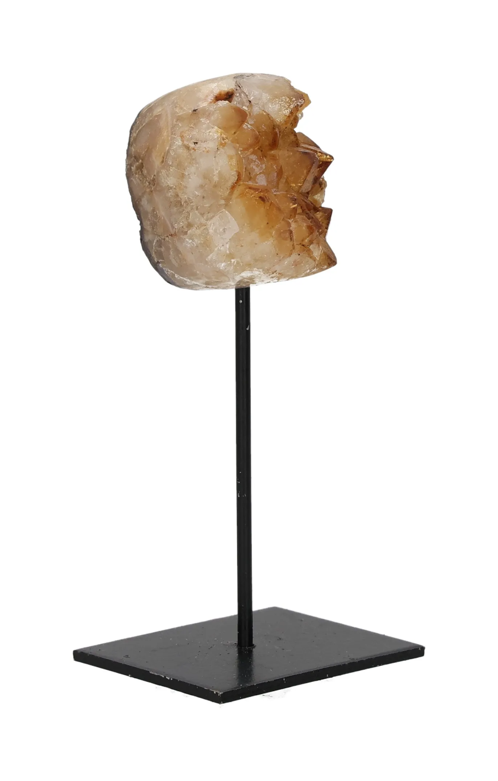 orbitvu|type:image2d