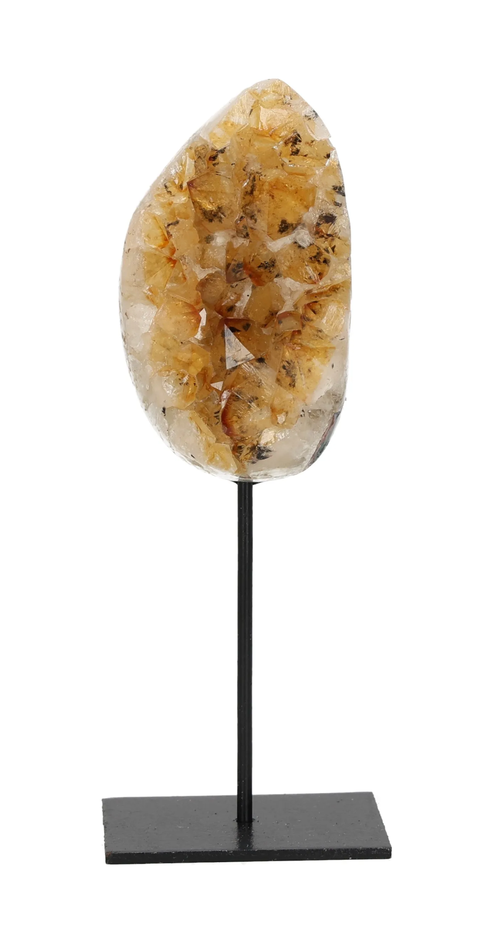 orbitvu|type:image2d