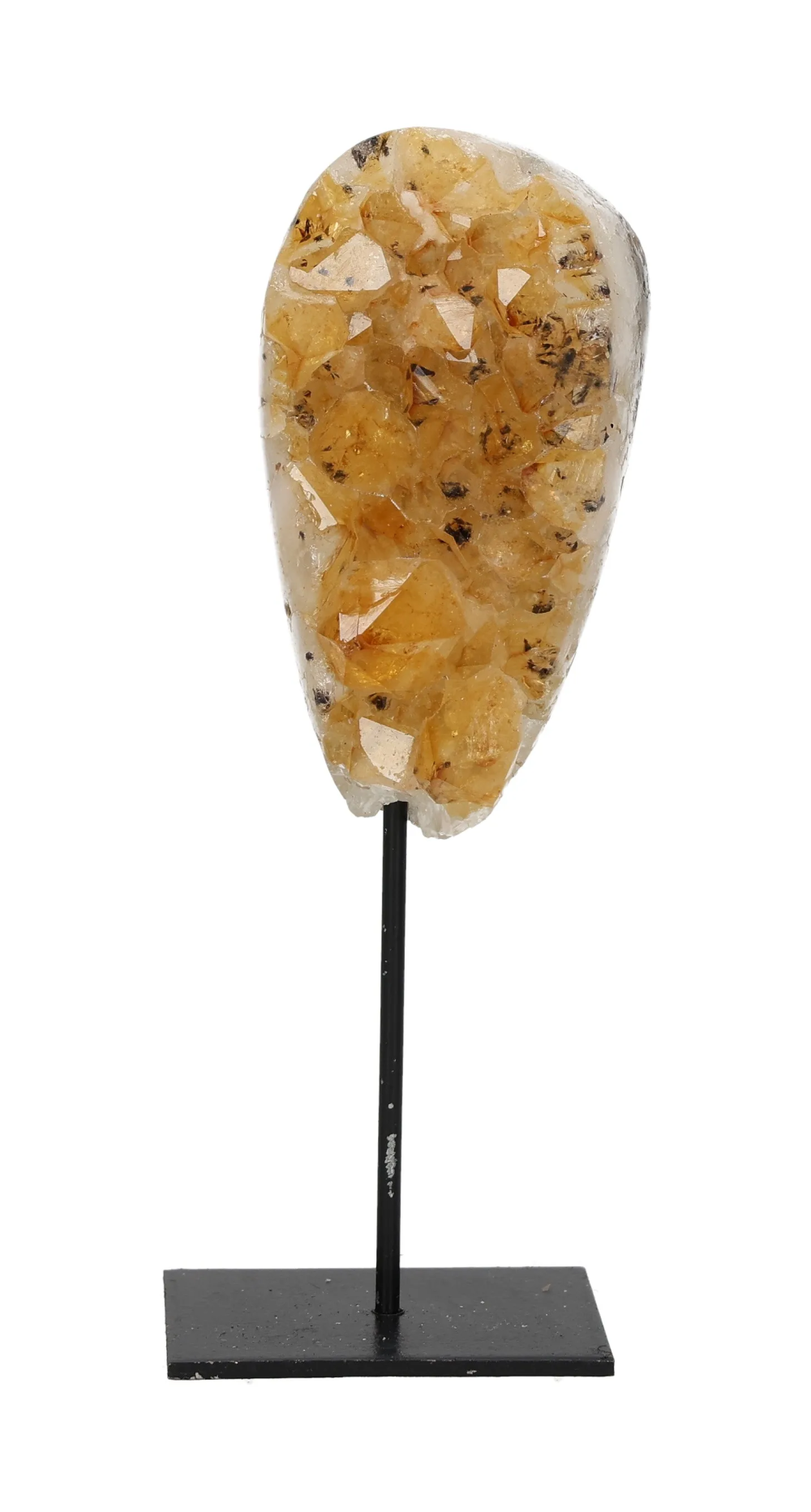 orbitvu|type:image2d