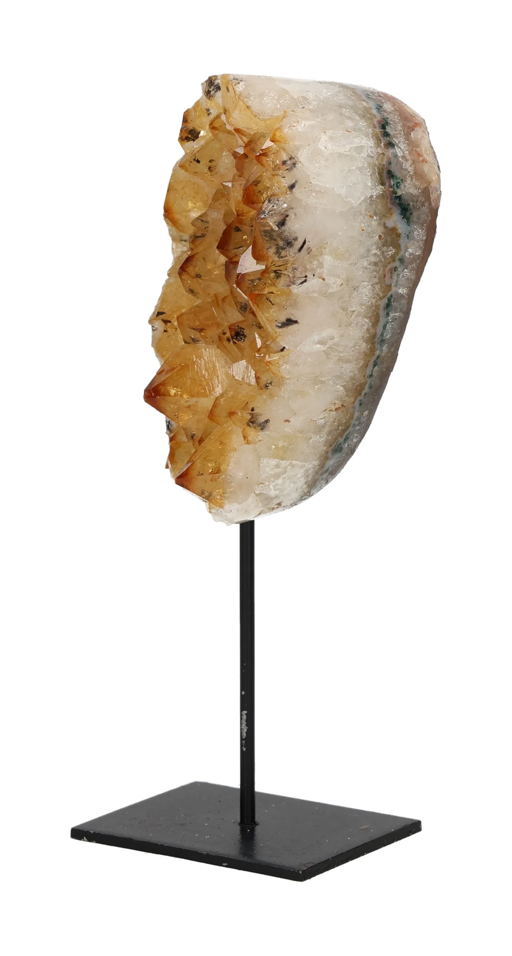 orbitvu|type:image2d