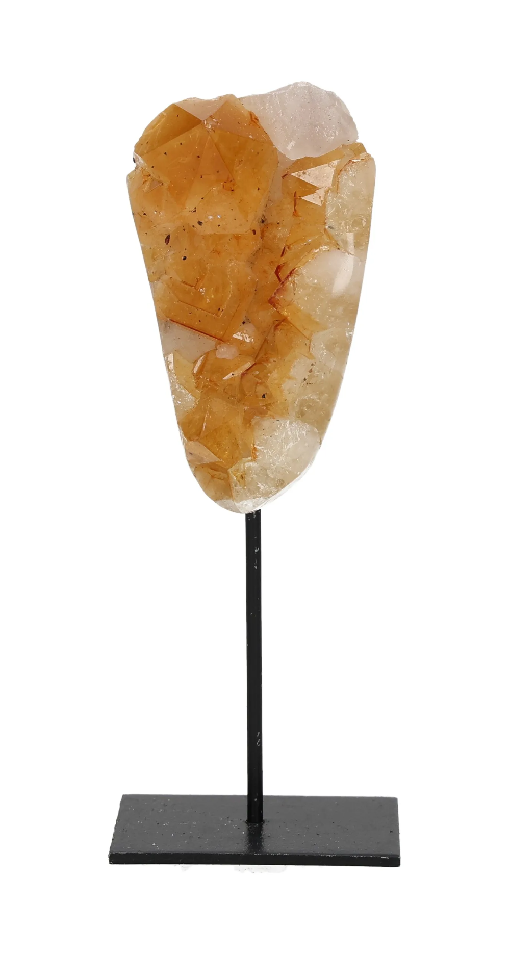 orbitvu|type:image2d