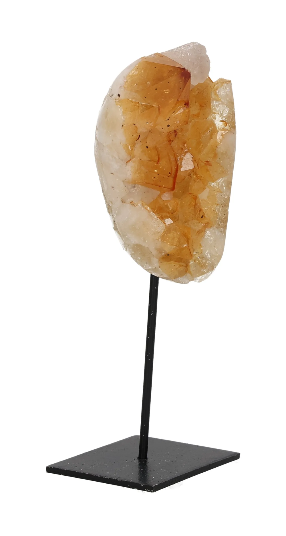 orbitvu|type:image2d