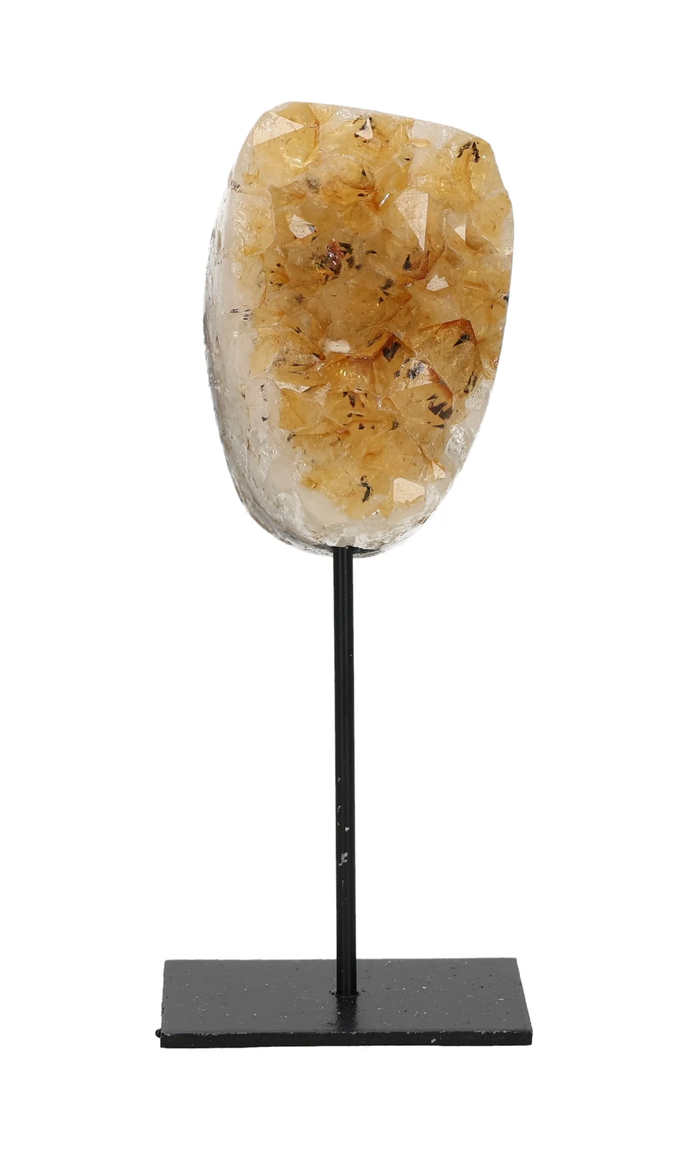 orbitvu|type:image2d