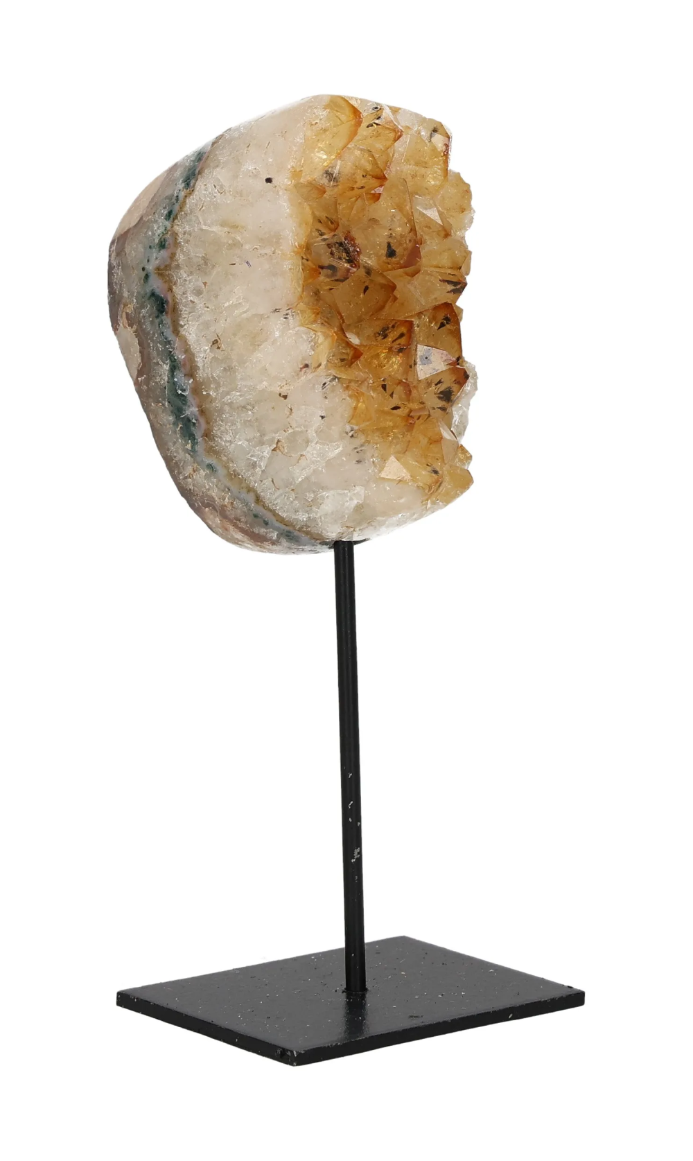 orbitvu|type:image2d