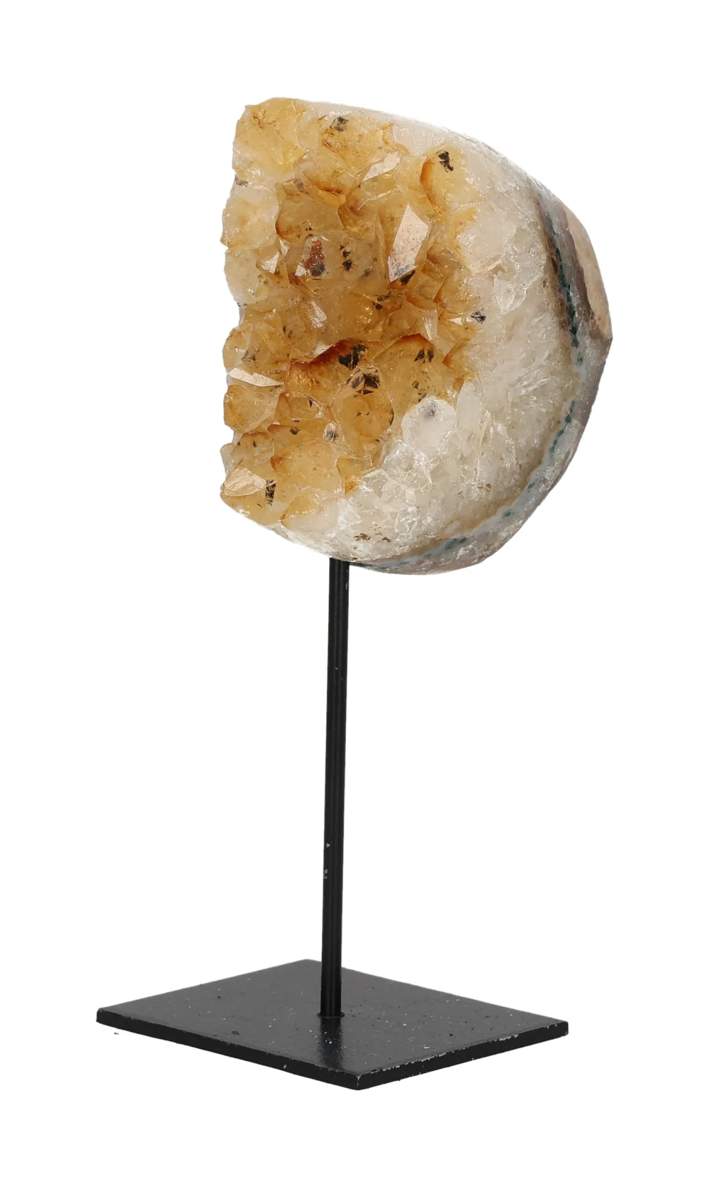 orbitvu|type:image2d