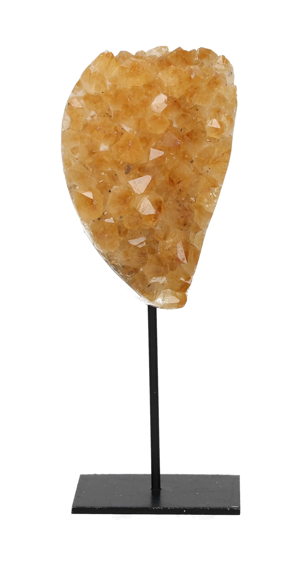 orbitvu|type:image2d