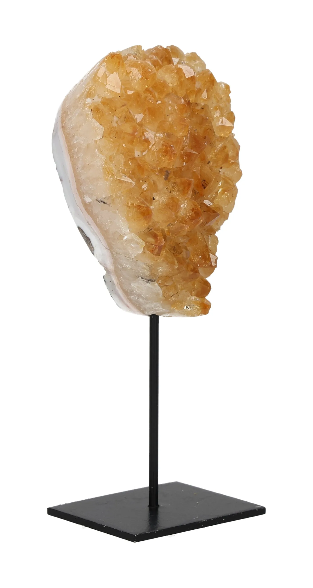 orbitvu|type:image2d