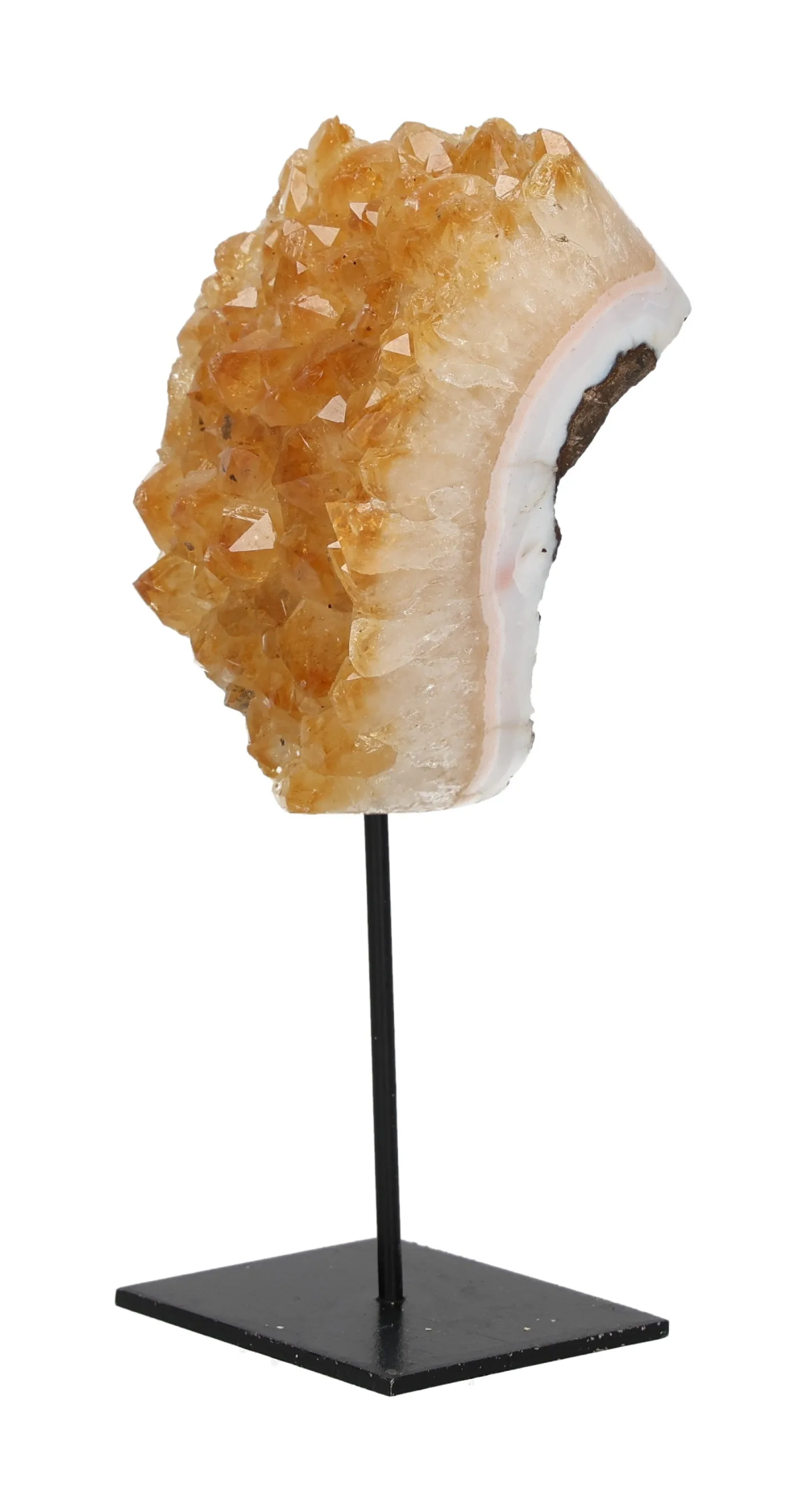 orbitvu|type:image2d