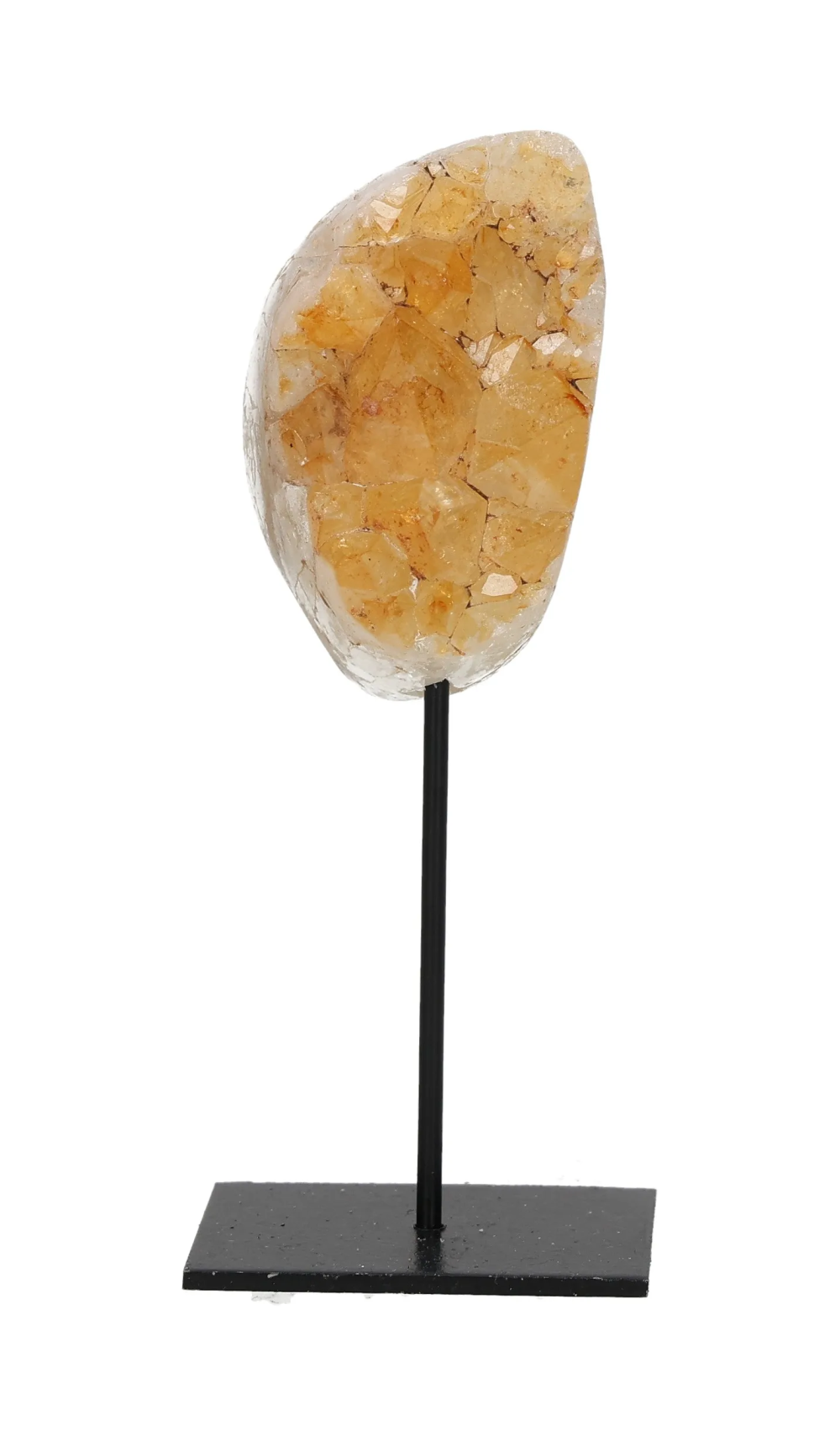 orbitvu|type:image2d