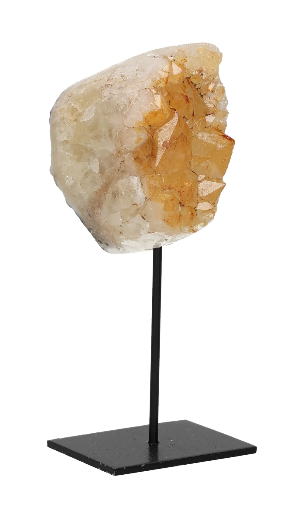 orbitvu|type:image2d