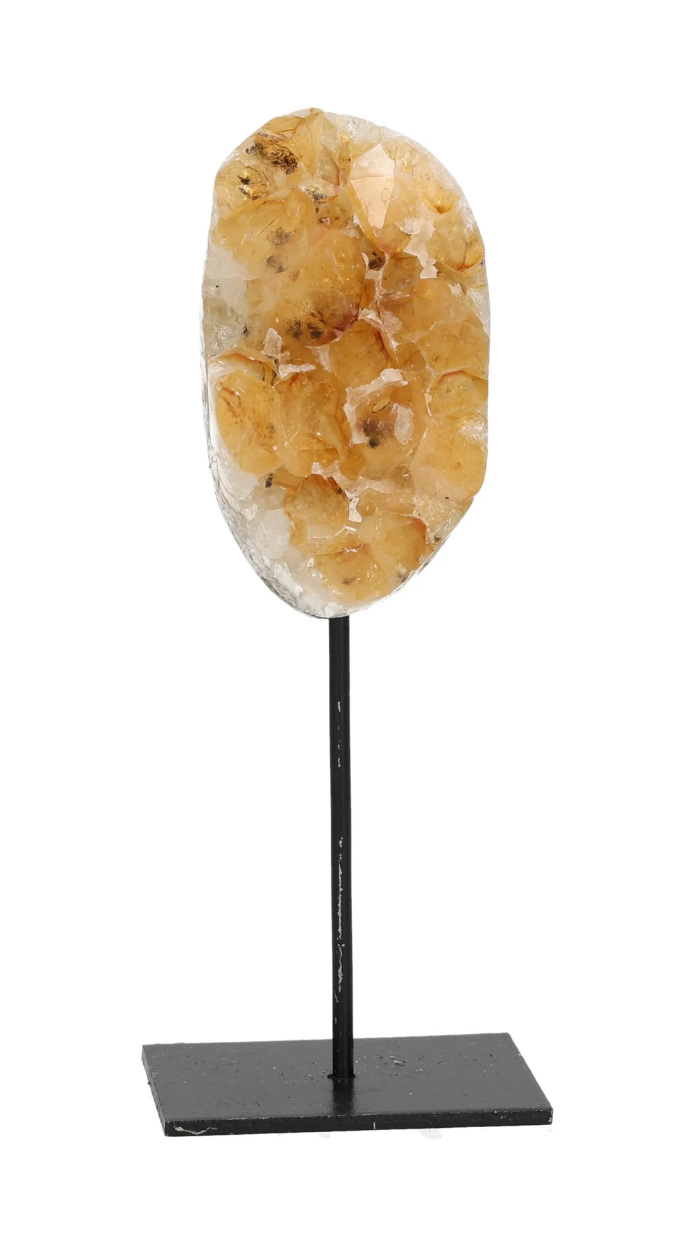 orbitvu|type:image2d