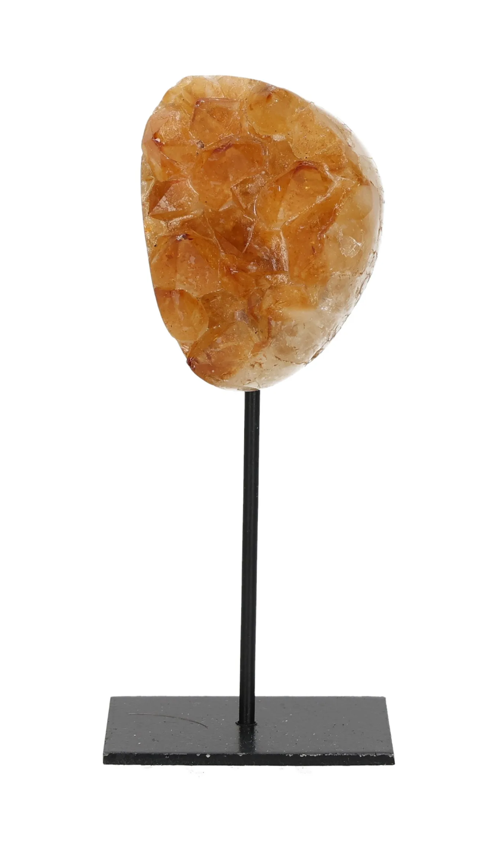 orbitvu|type:image2d