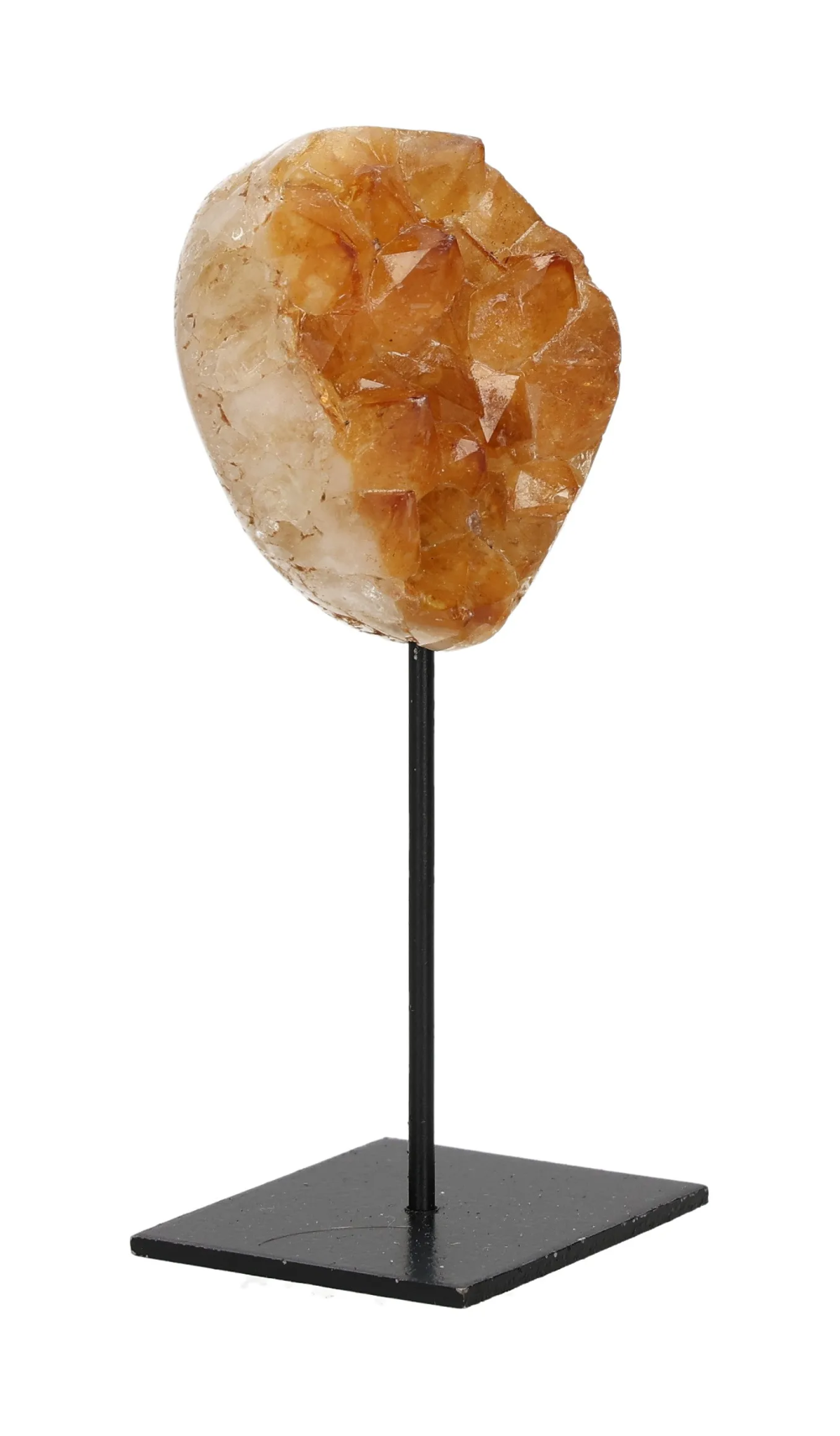 orbitvu|type:image2d