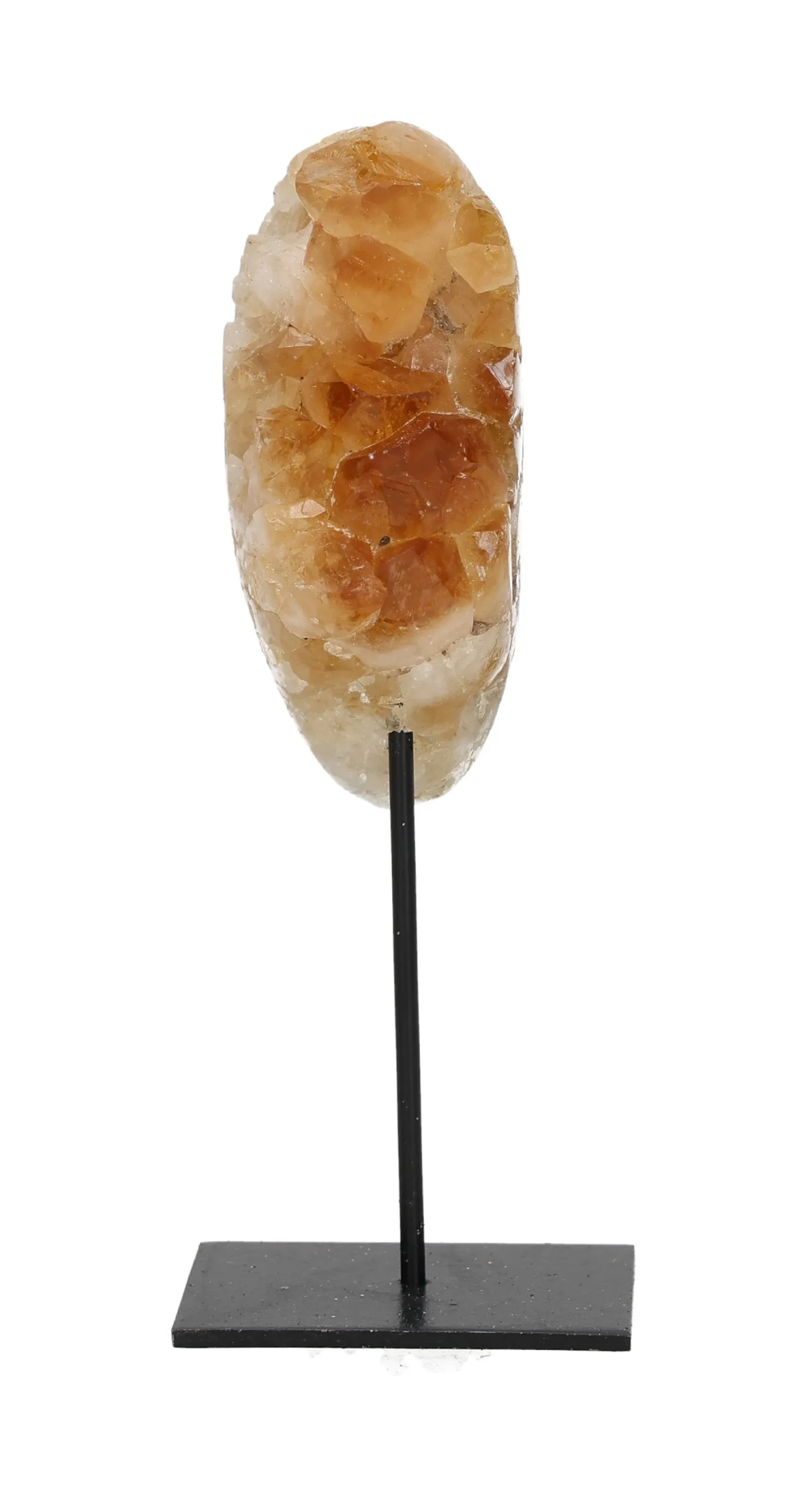 orbitvu|type:image2d