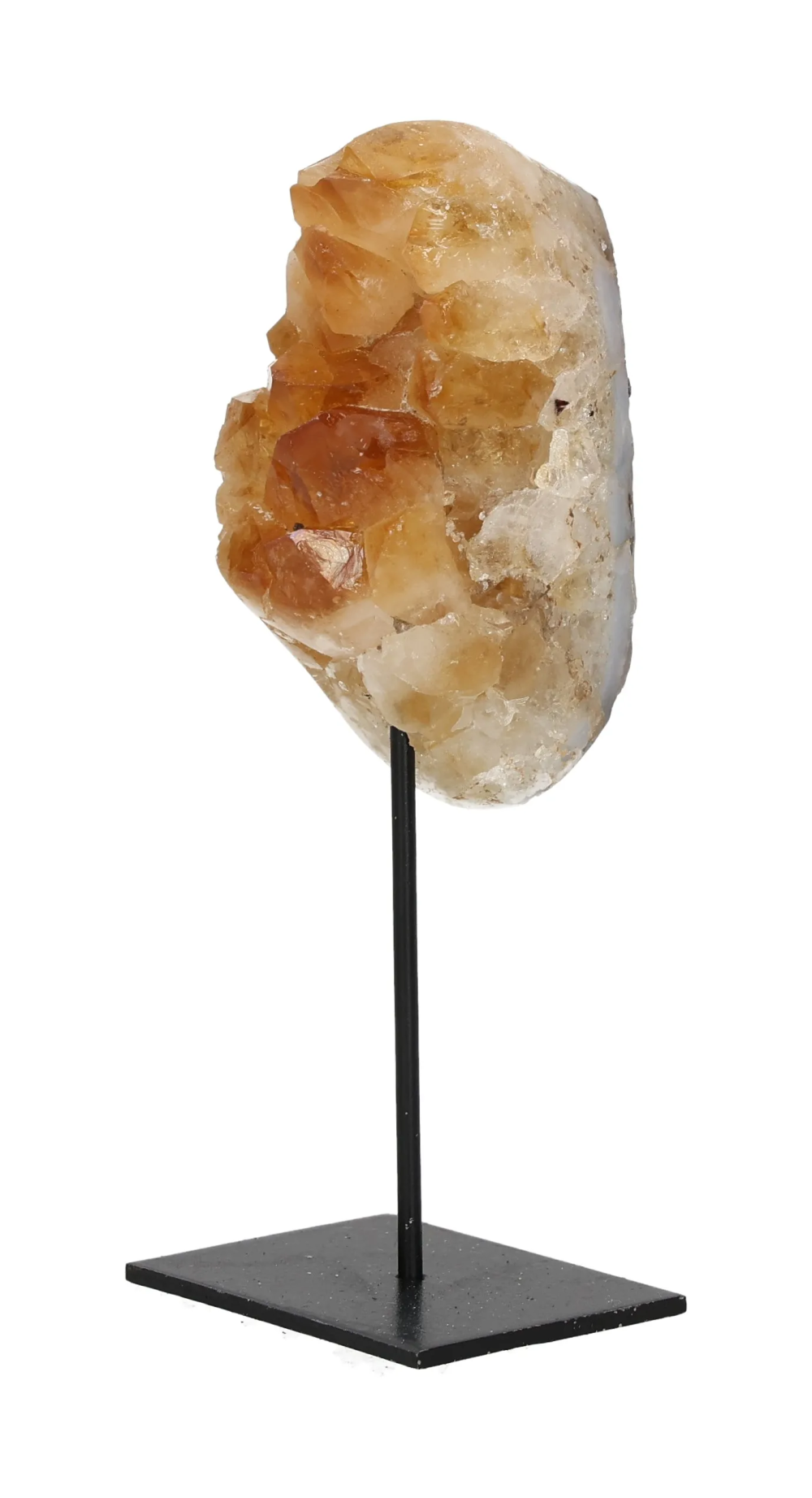 orbitvu|type:image2d