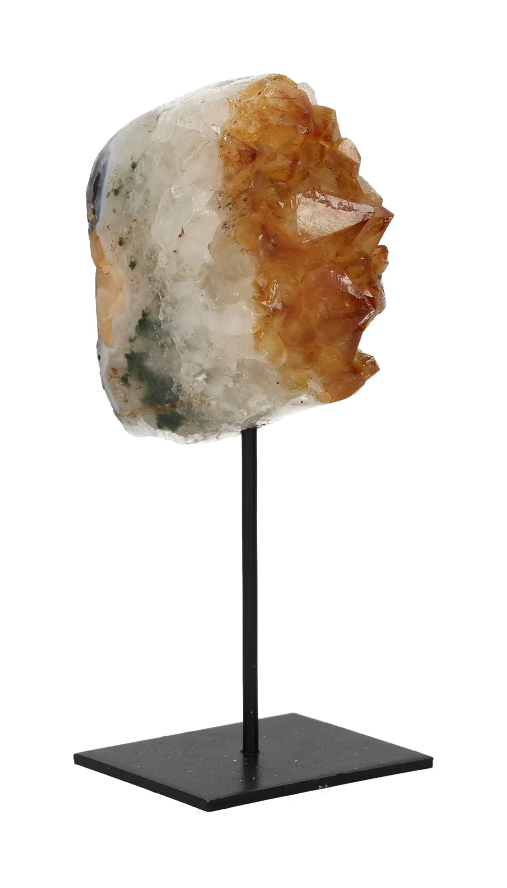 orbitvu|type:image2d