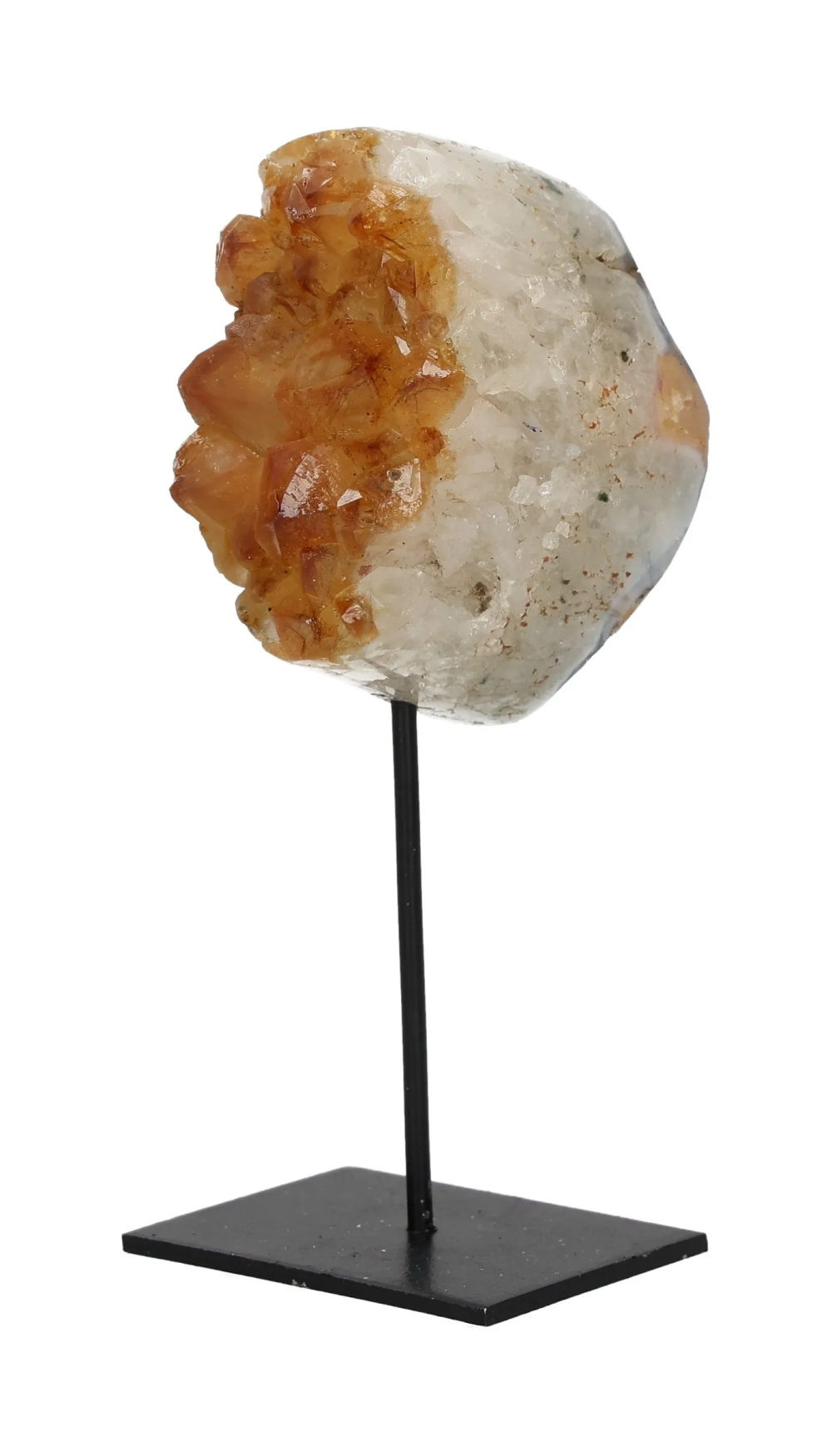 orbitvu|type:image2d