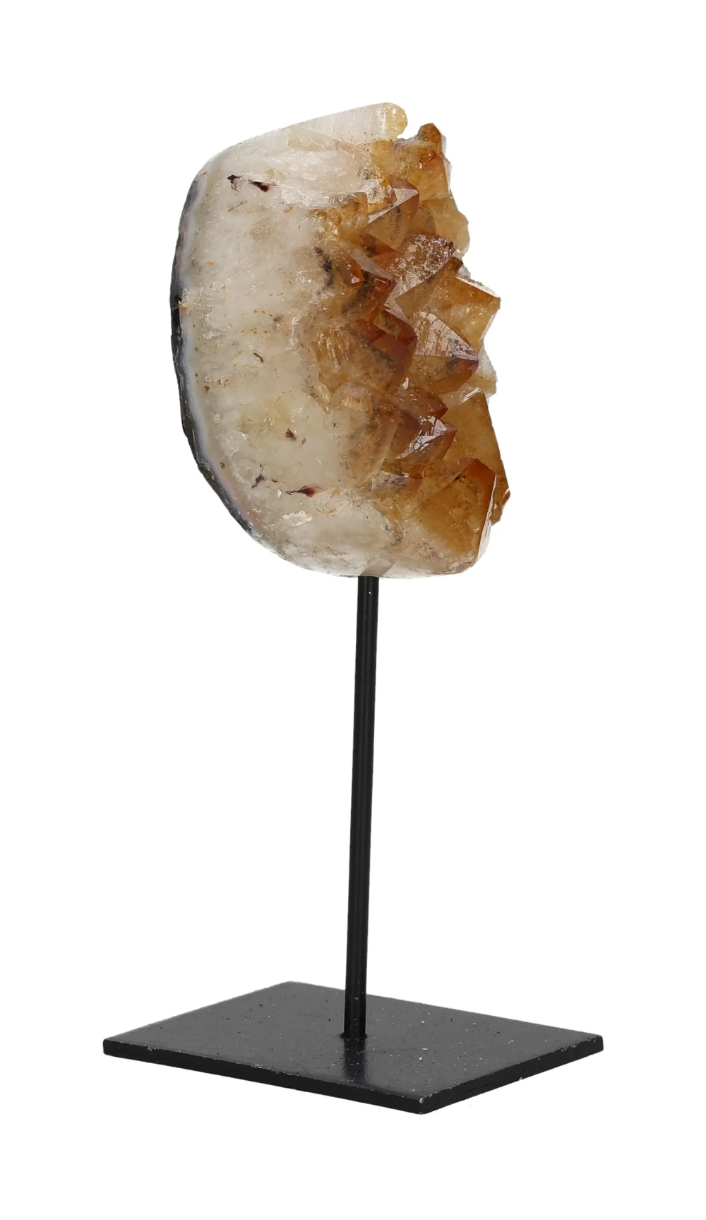 orbitvu|type:image2d