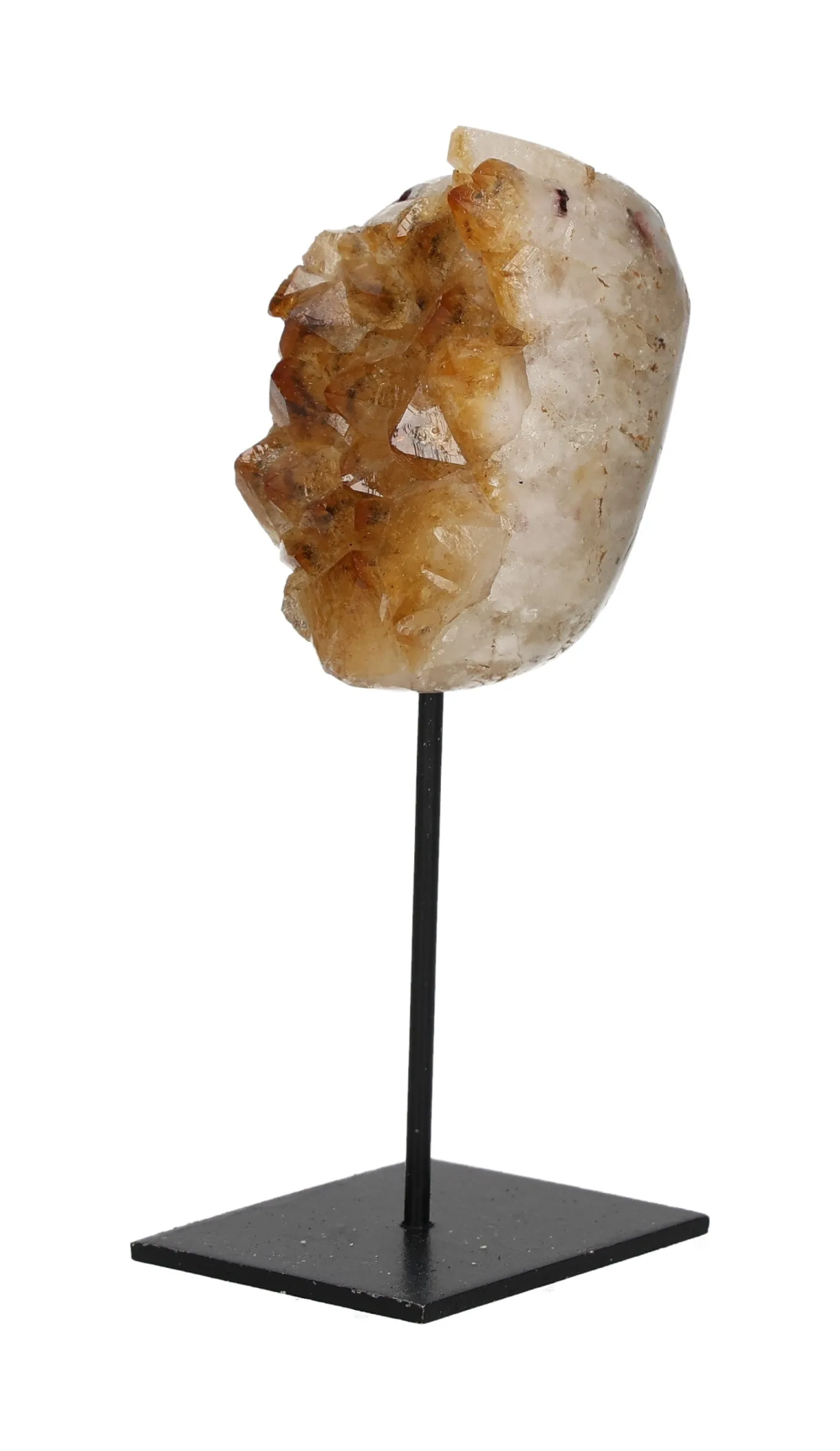 orbitvu|type:image2d