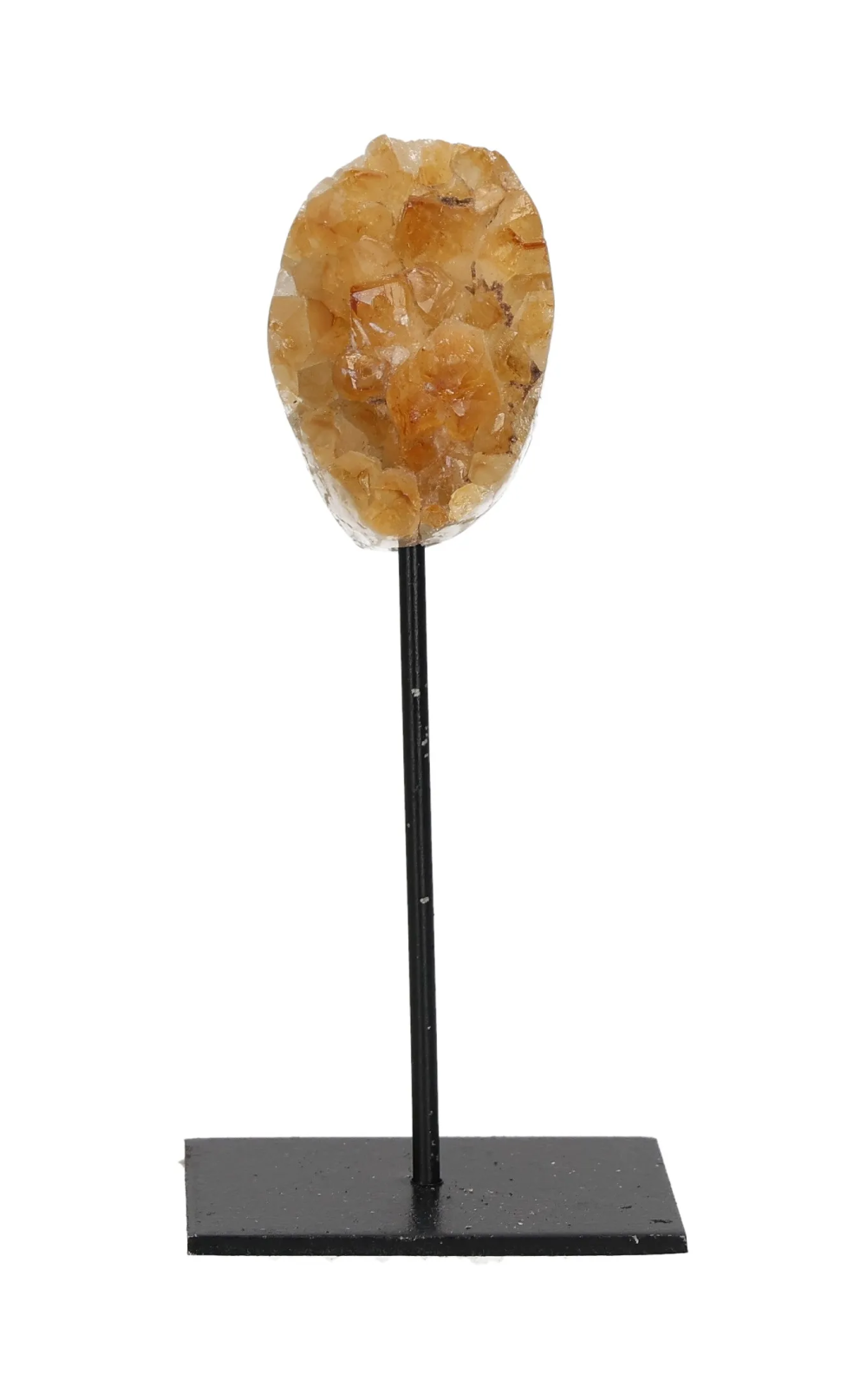 orbitvu|type:image2d