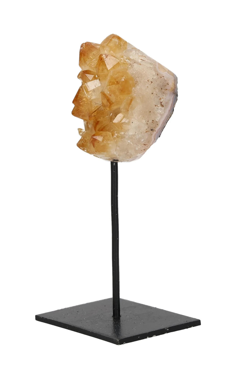 orbitvu|type:image2d