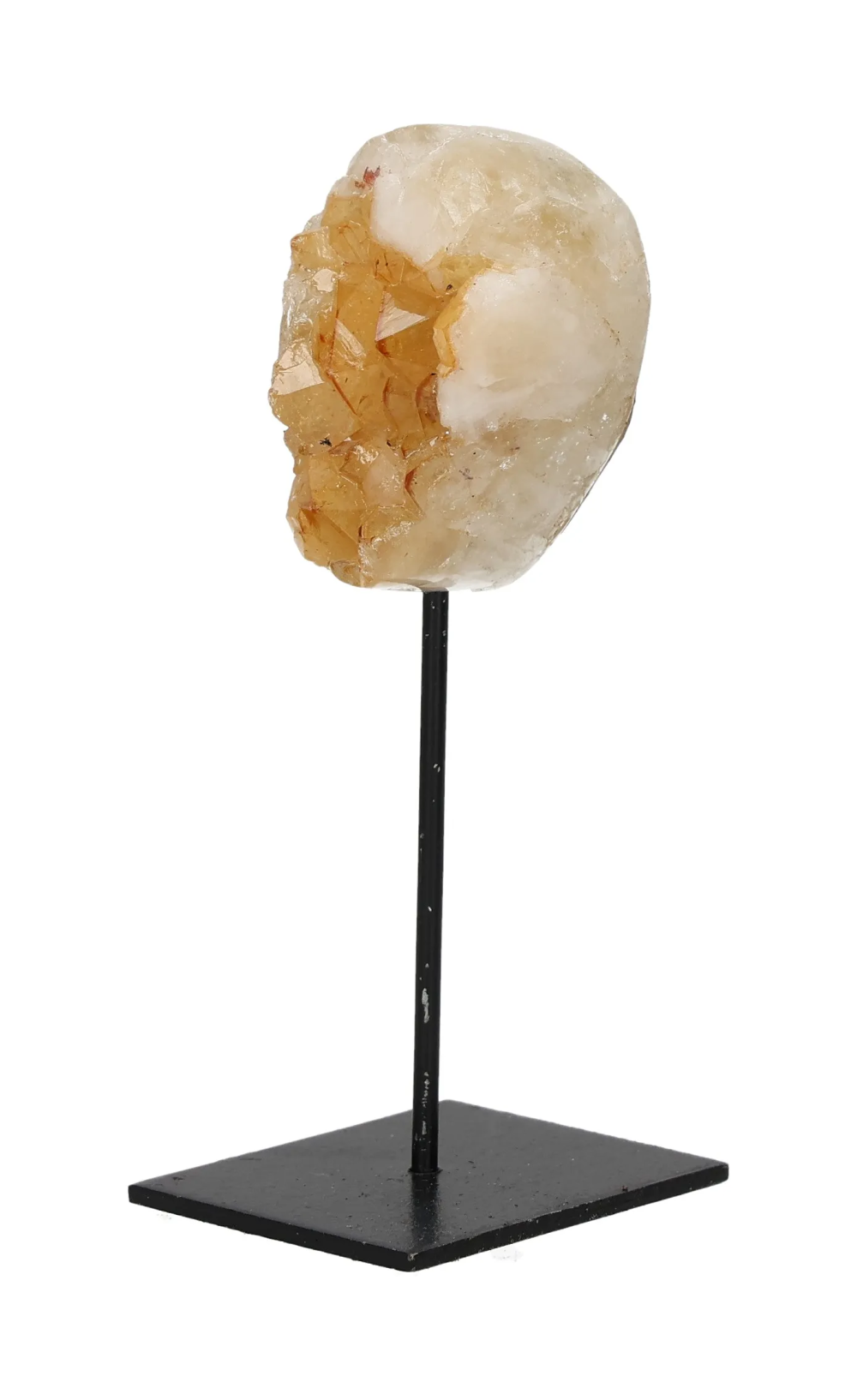 orbitvu|type:image2d