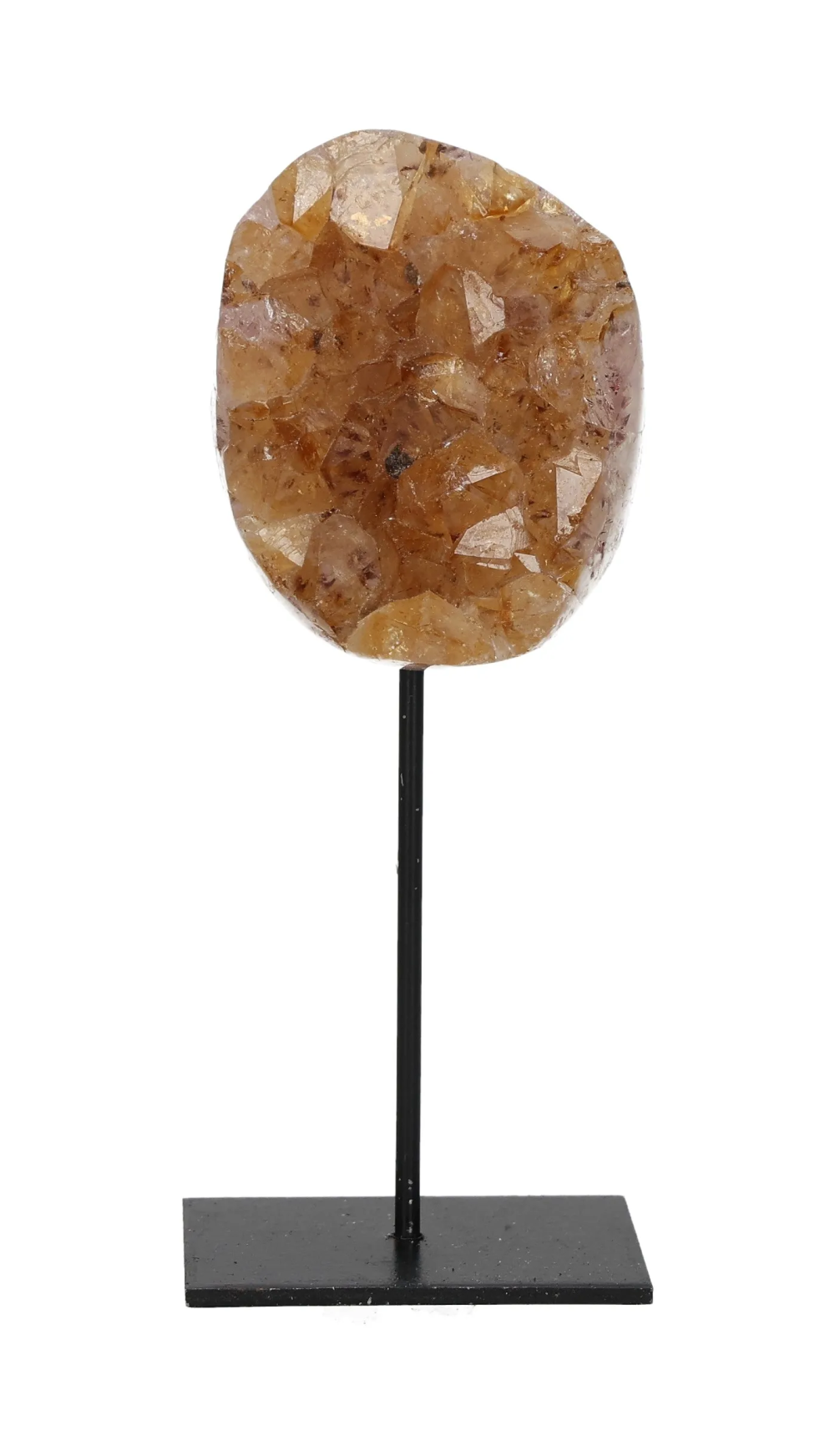 orbitvu|type:image2d