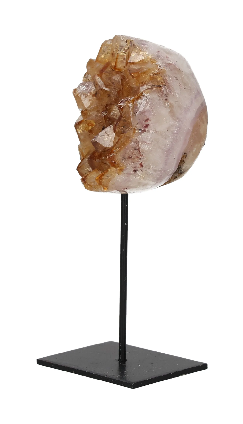 orbitvu|type:image2d