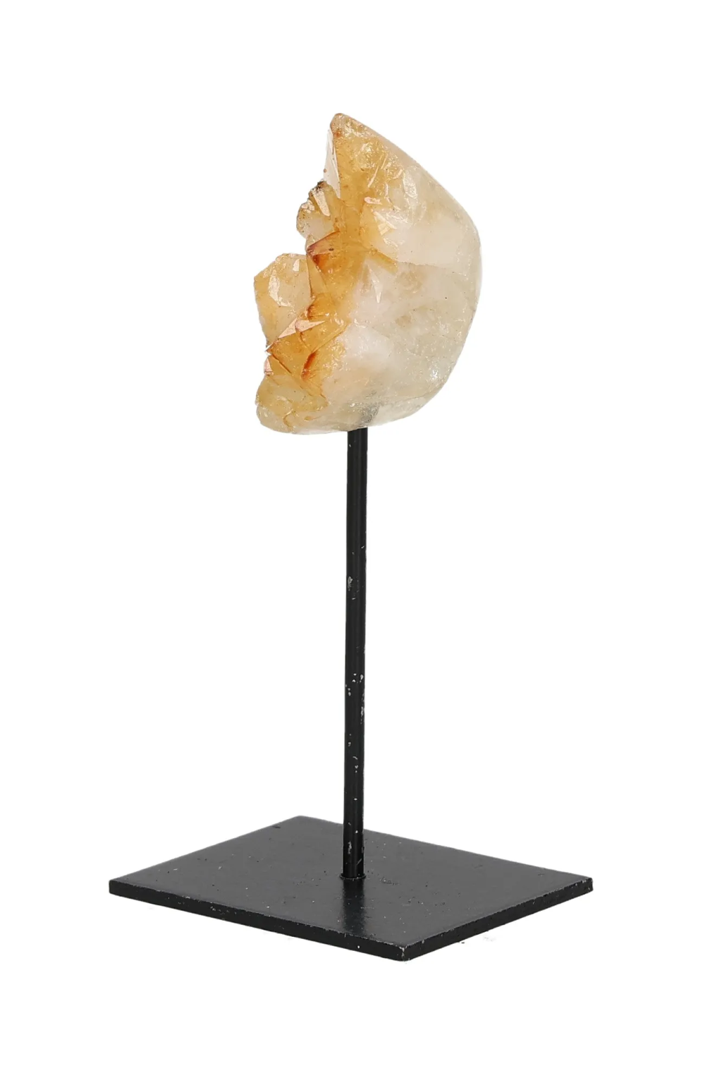 orbitvu|type:image2d