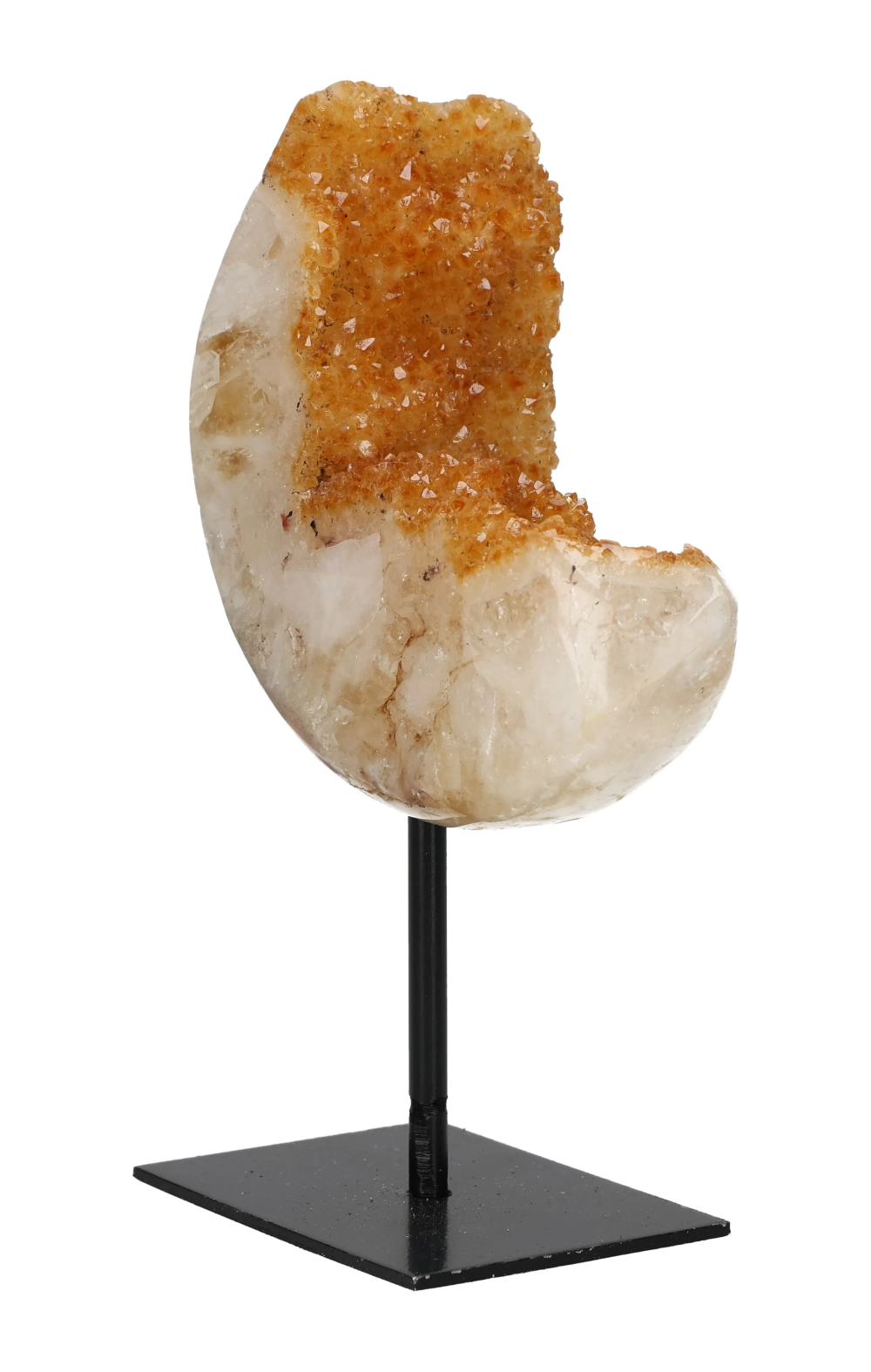 orbitvu|type:image2d