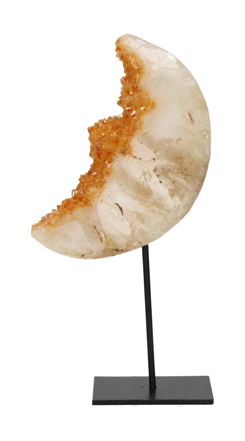 orbitvu|type:image2d