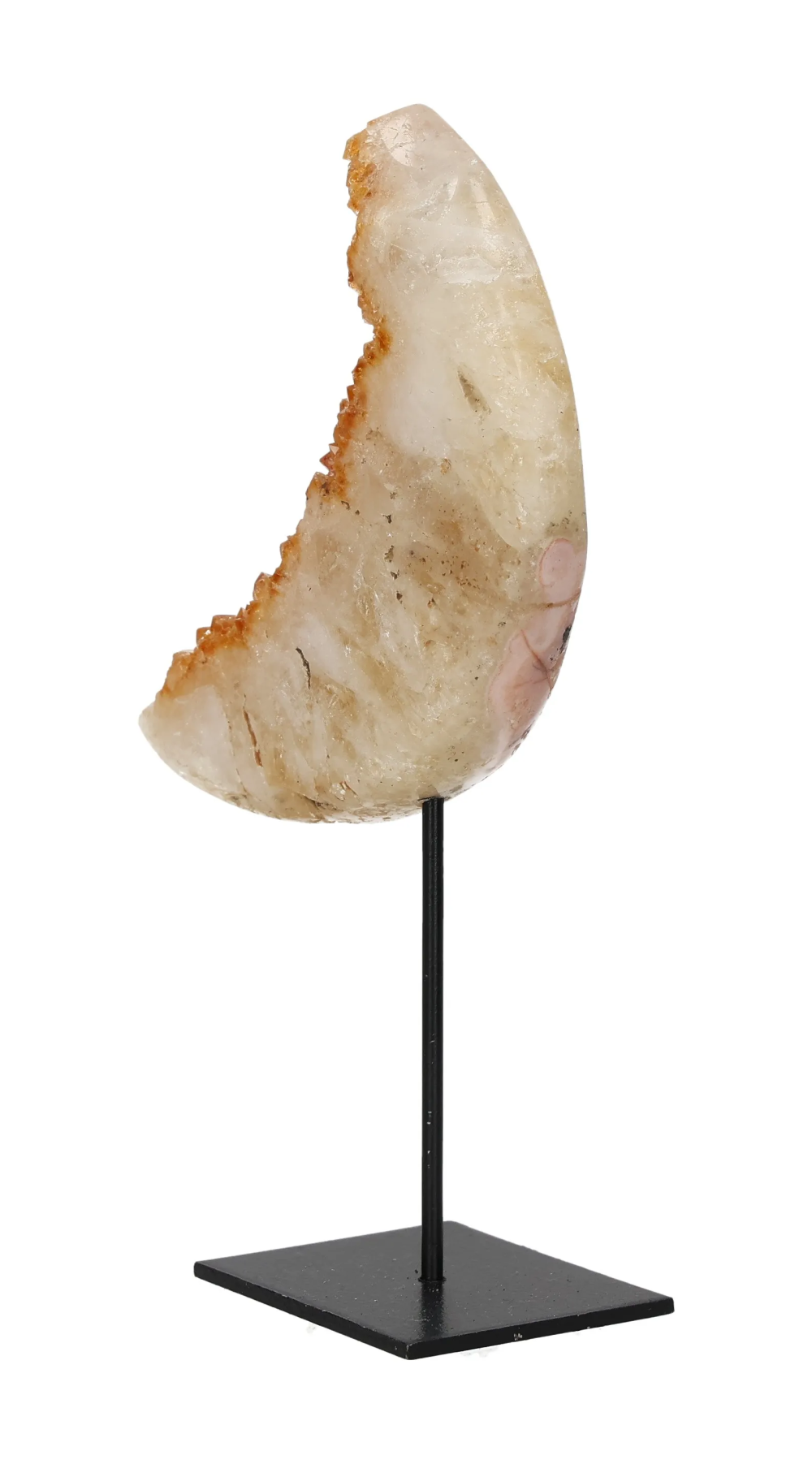 orbitvu|type:image2d