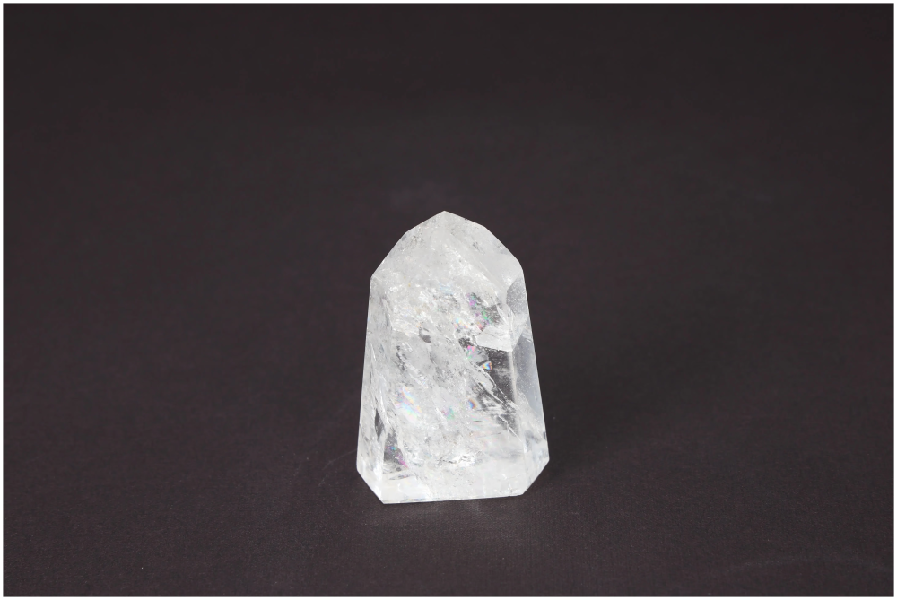 orbitvu|type:image2d