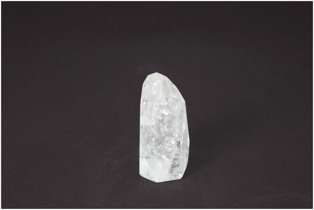 orbitvu|type:image2d