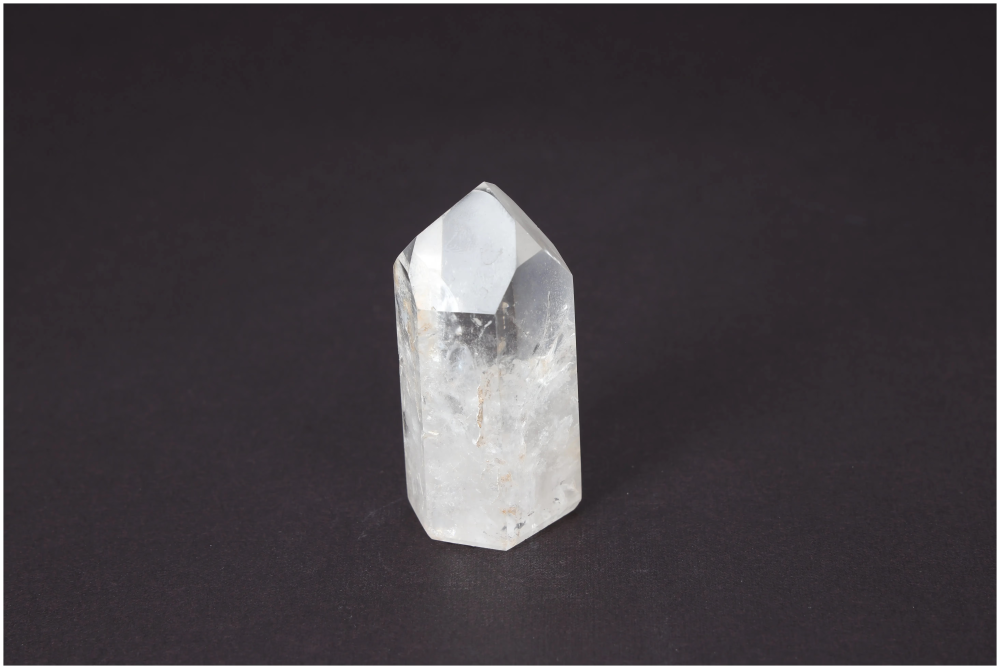 orbitvu|type:image2d