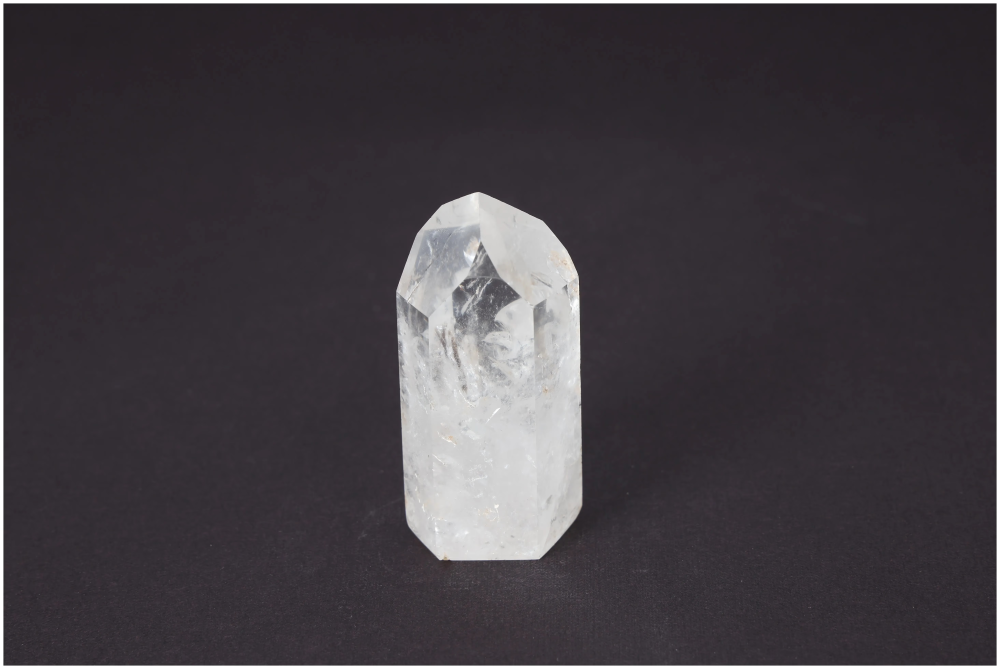 orbitvu|type:image2d