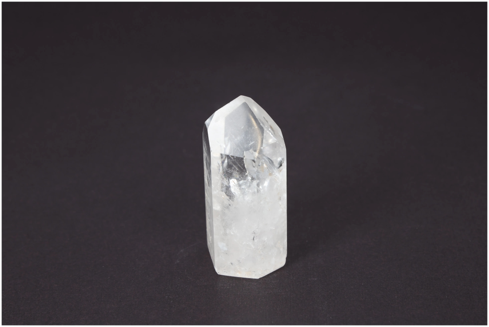 orbitvu|type:image2d