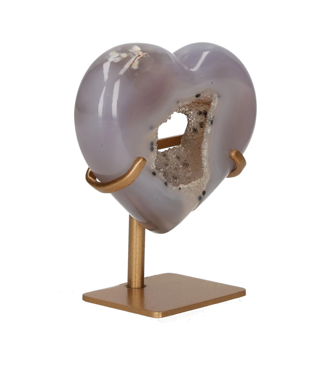 orbitvu|type:image2d