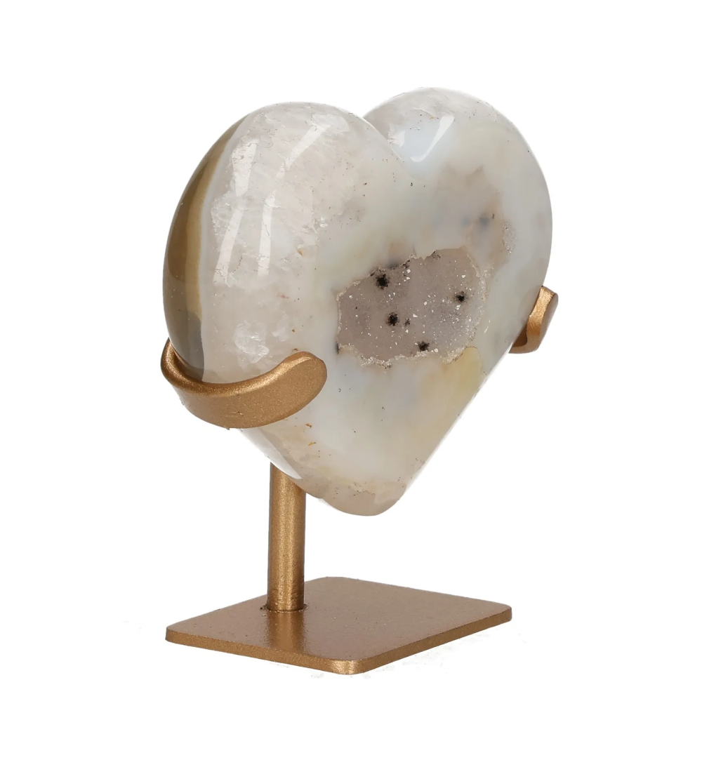 orbitvu|type:image2d