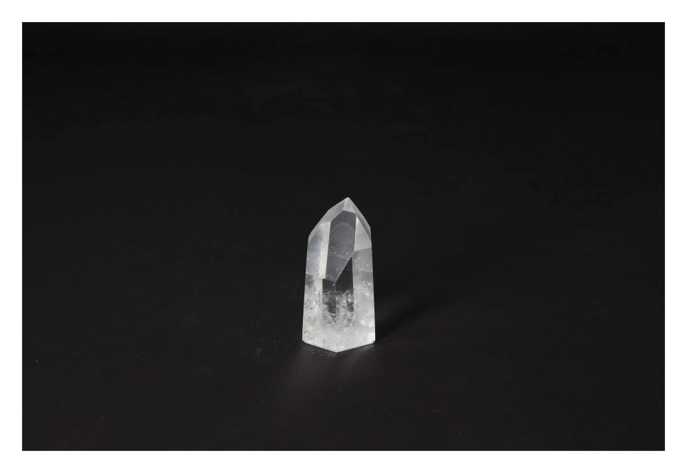 orbitvu|type:image2d