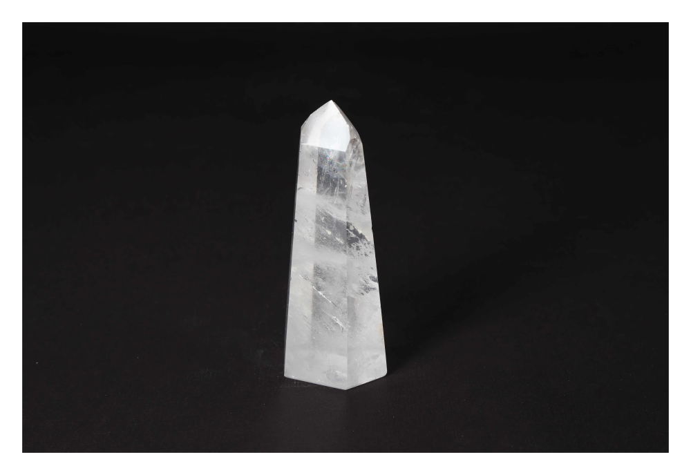 orbitvu|type:image2d