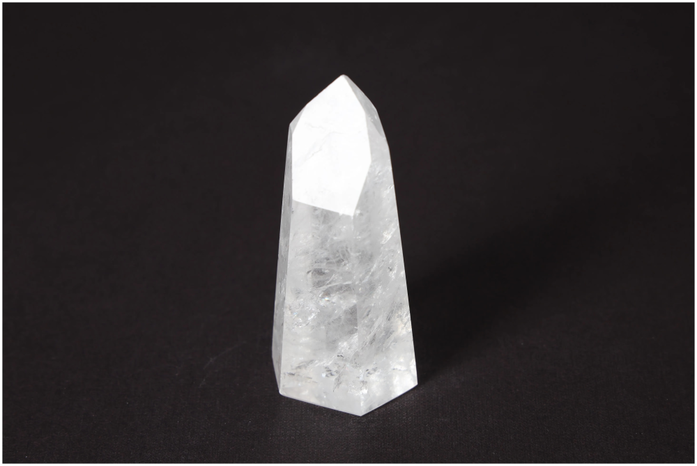 orbitvu|type:image2d