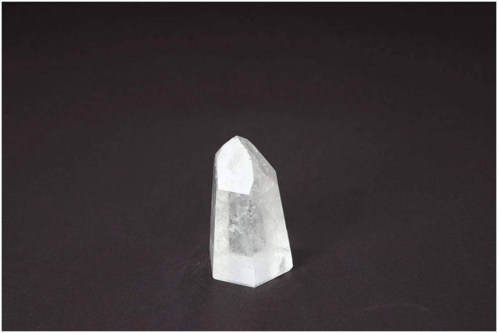 orbitvu|type:image2d