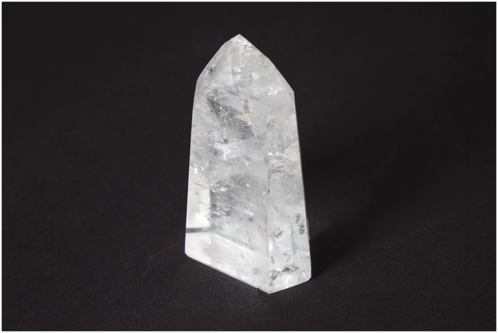 orbitvu|type:image2d