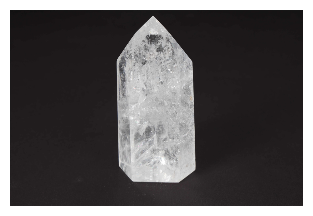 orbitvu|type:image2d