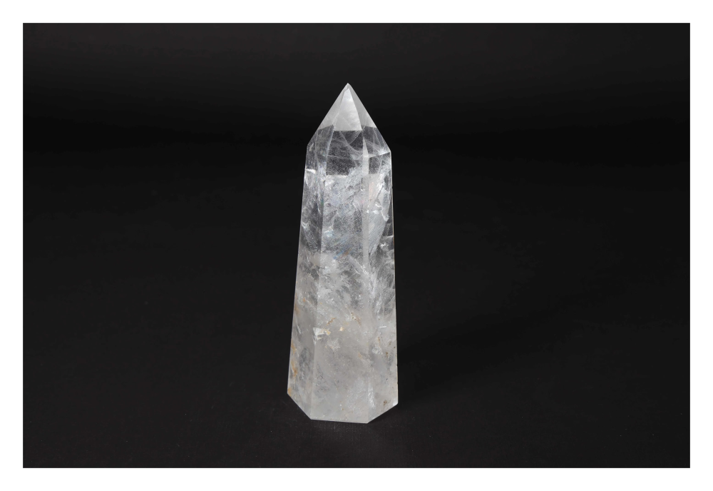 orbitvu|type:image2d